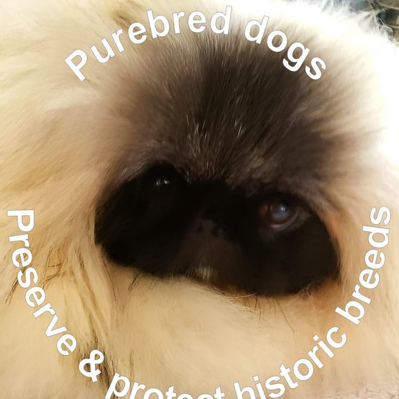 Meet your Posher, Tammy - Picture 1 of 1